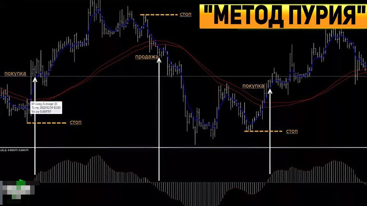 Метод Пурия: скальпинговый алгоритм профессионалов